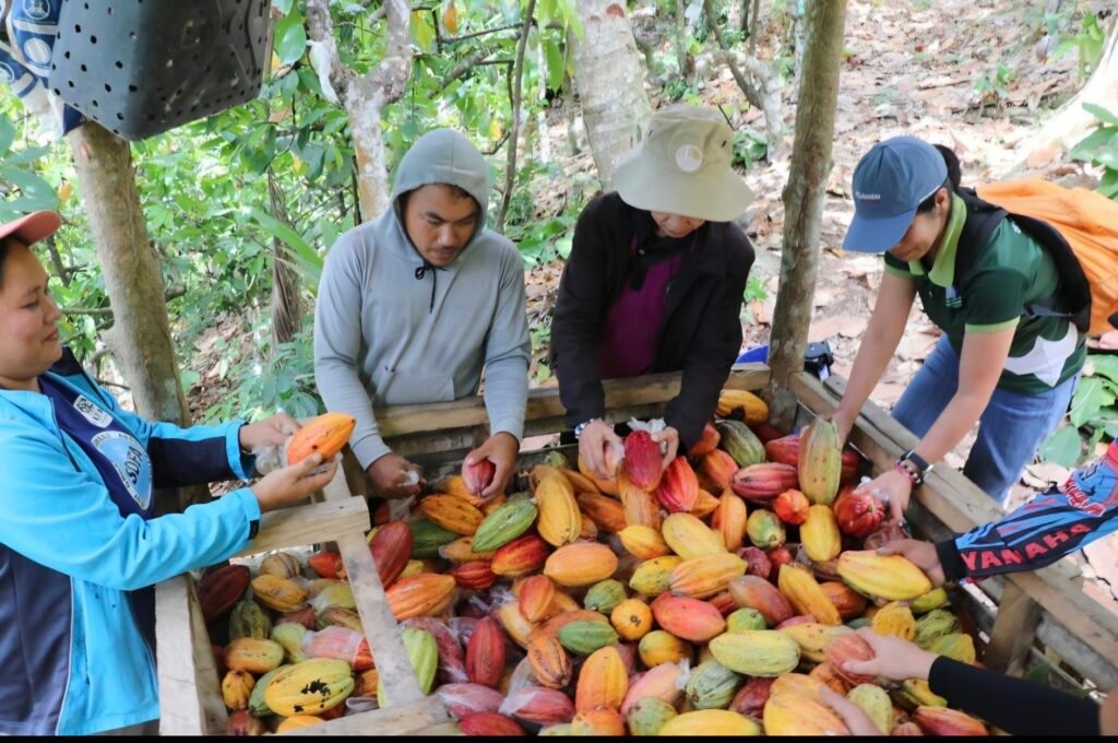 Lokal to Global: Istorya ng Tagumpay ng mga Cacao Farmers sa Davao