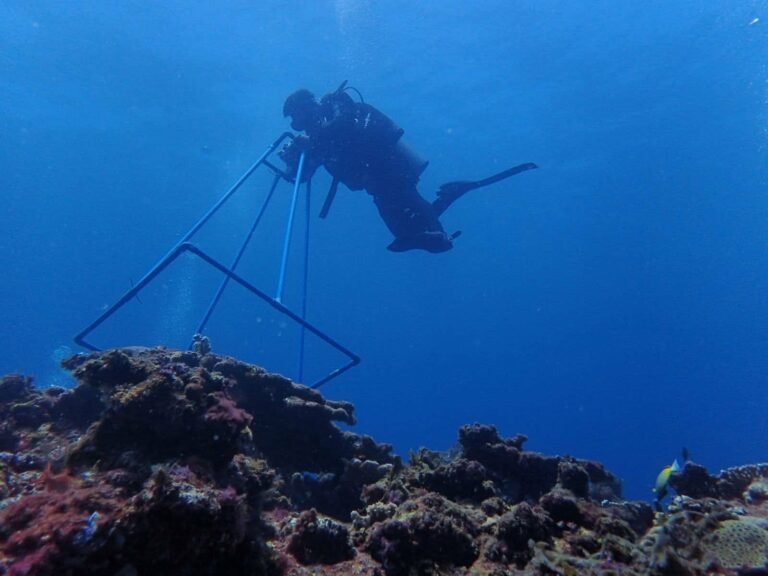DENR, Gumagamit ng Teknolohiya para sa Real-Time Monitoring ng El Niño
